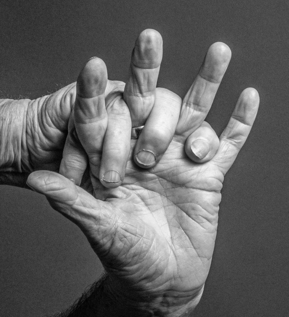 Hands: Finger and Palm by Sara Allen 