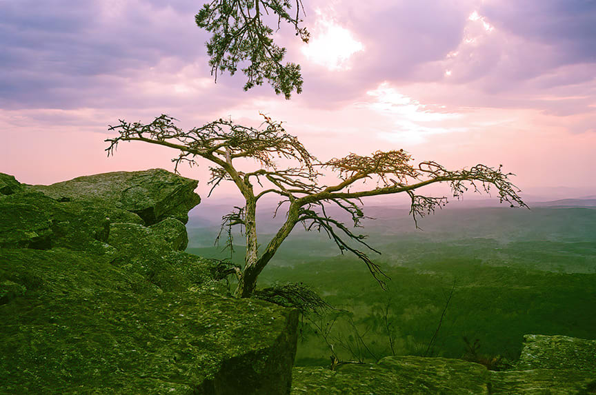 Pulpit Rock by Luis Almeida 