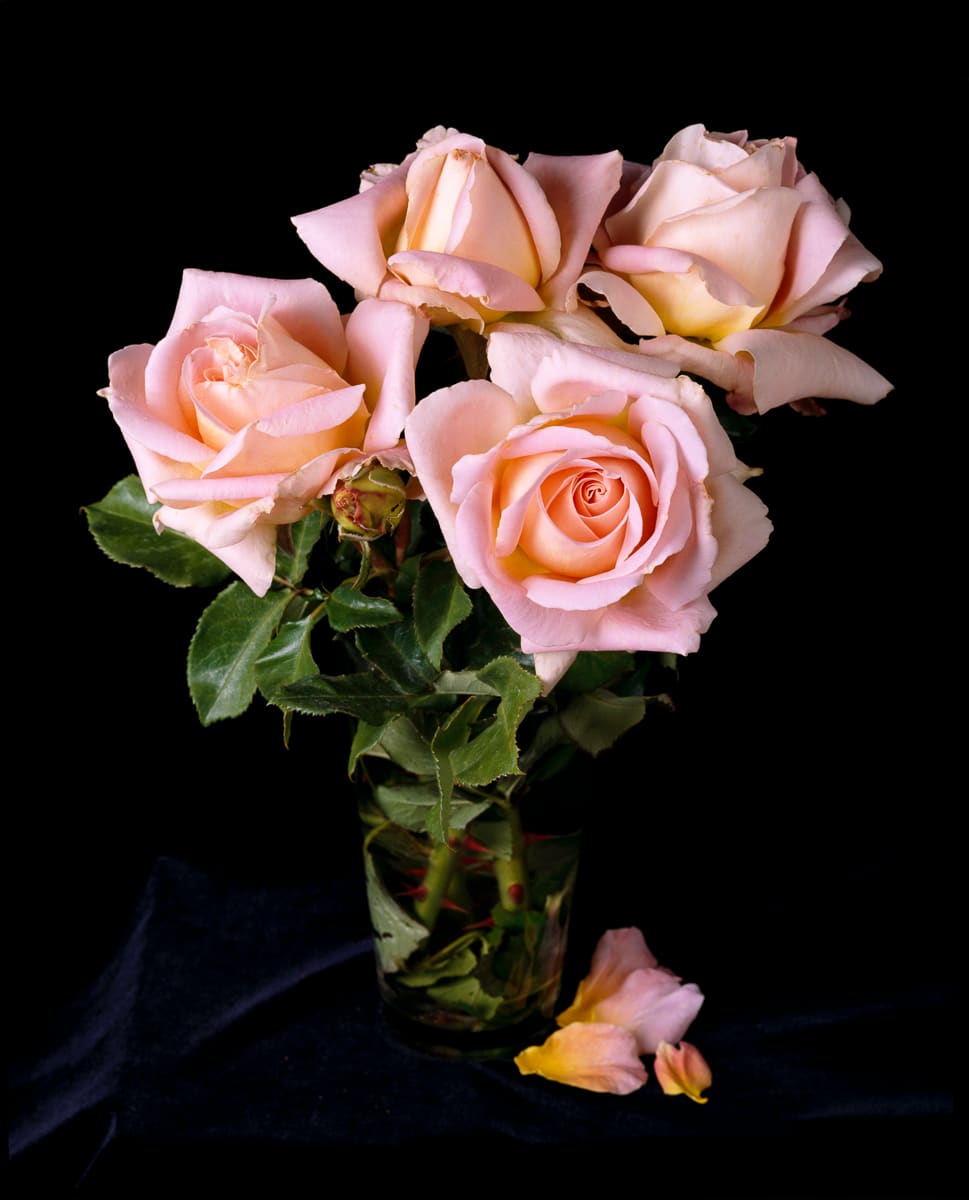 Alpine Sunset by Syl Arena, Image 2.