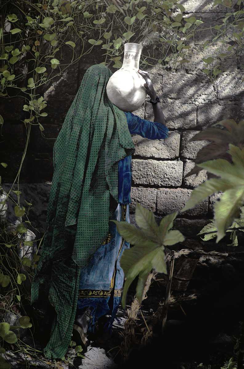 Lady of the Earth and Water by Sanaz Arjmand 