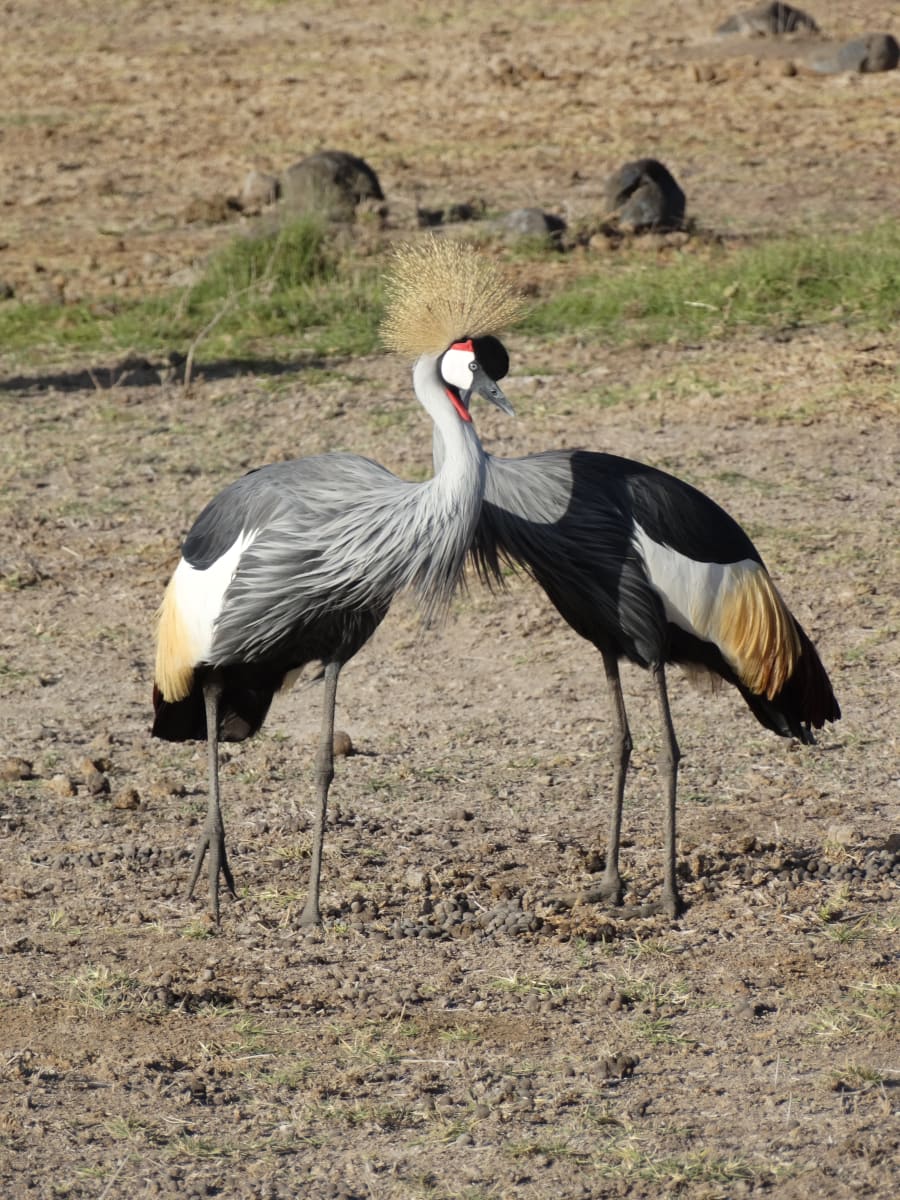 Interwoven by Ashley Jiao, Image 6.