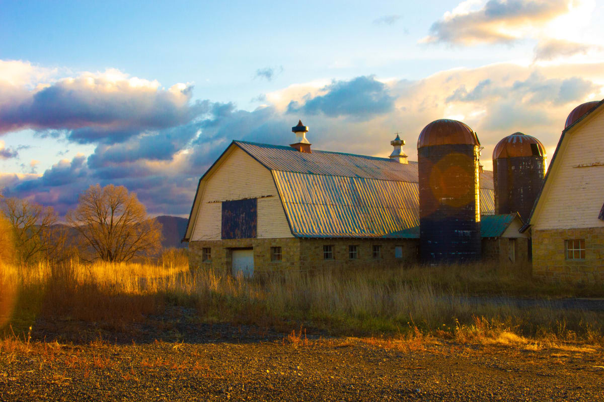 Barn in Golden Sunshine by Tony Ballas 