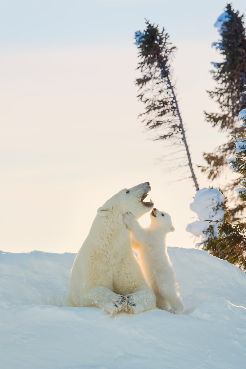 Reaching Out by Steven Barger 