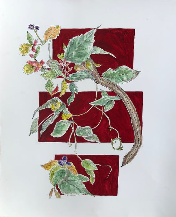 Bouquet with Tamarind on Crimson by Laurie Batter 