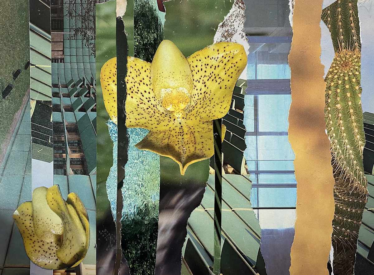 Gold Orchid by Kathleen Bergen 