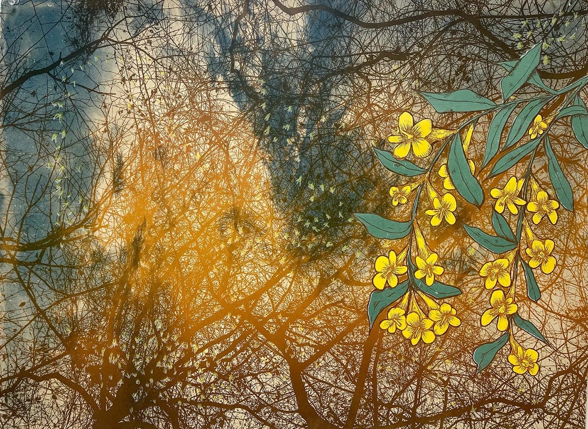 Carolina Jasmine by Adam Noah Berman, Image 5.