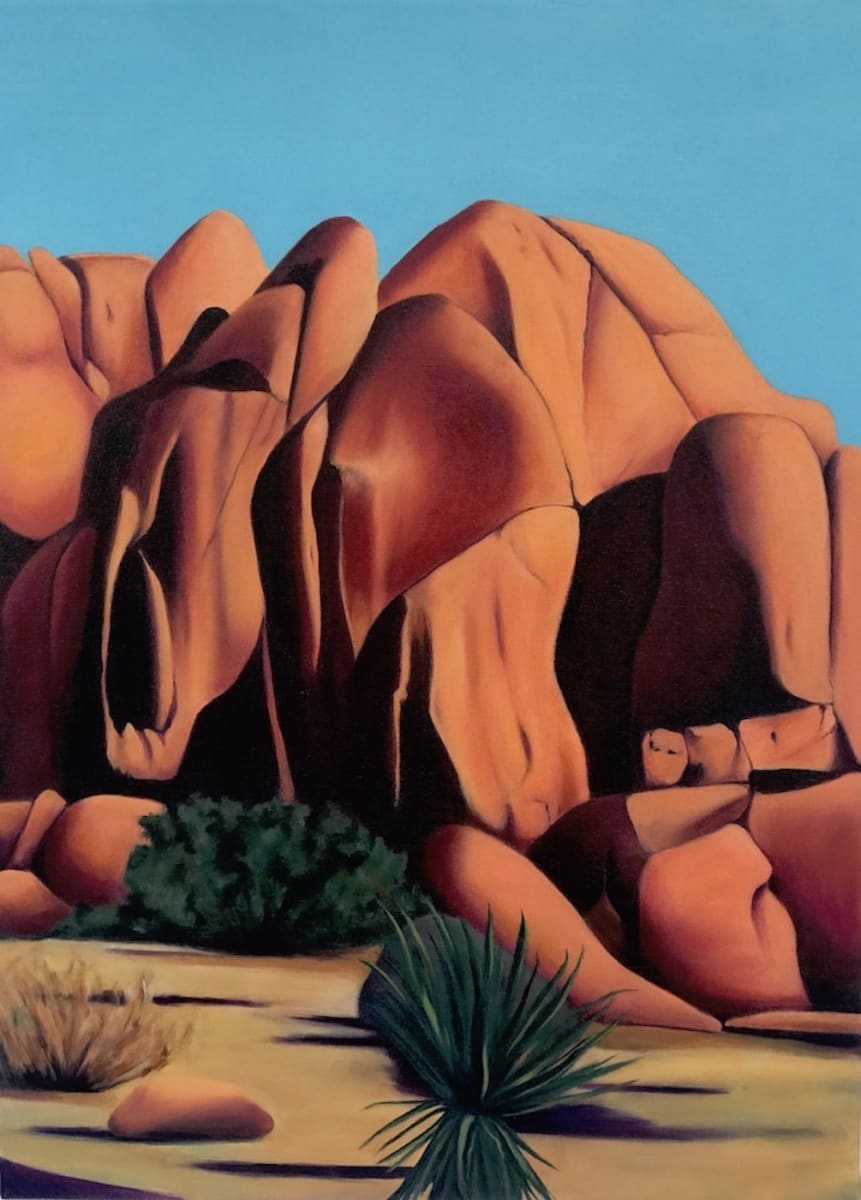 Rocks at Joshua Tree 2 by Julie Blackman 