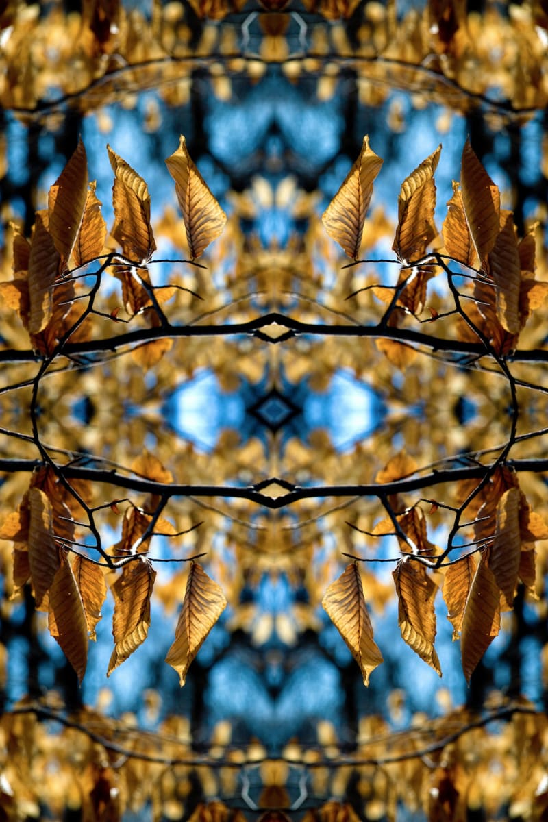 Crown by Jason Blair, Image 4.