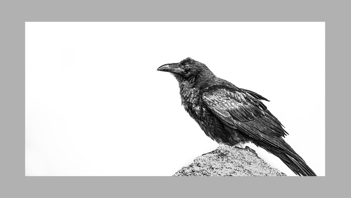 Ravens Rock by Cara Brewer 
