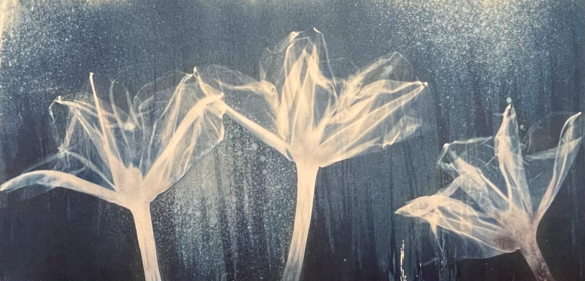 Three Moon Flowers by Becky Brinkley, Image 8.