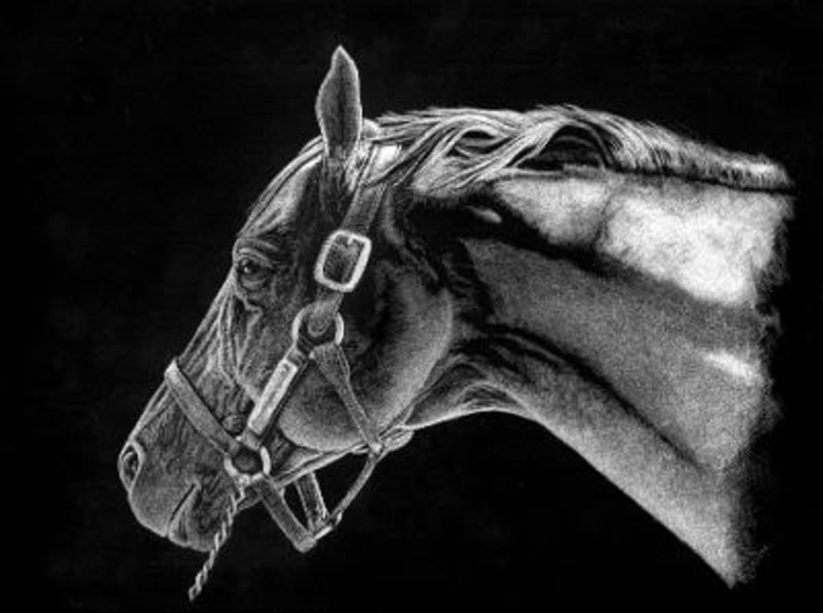 Secretariat at Claiborne Farm 1988 by Denise J. Brown 