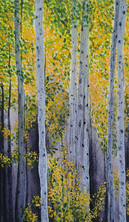 Birch Forest by Hailu Cai 