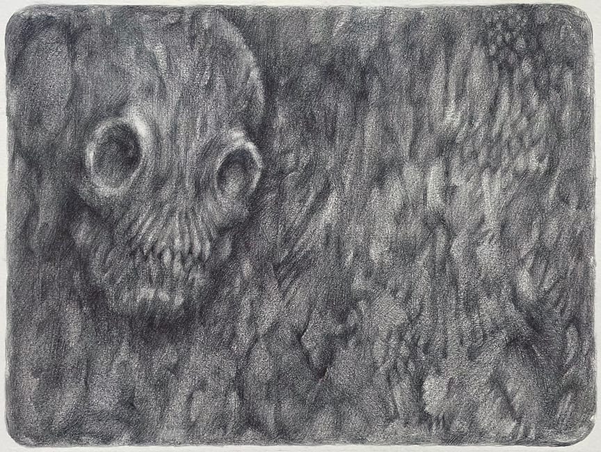 Excavation by S Campbell, Image 4.