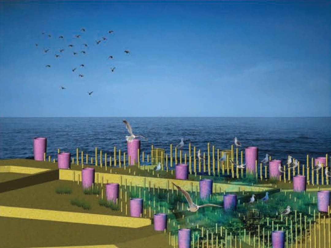 Island with the Birds by Shimin Cao, Image 4.