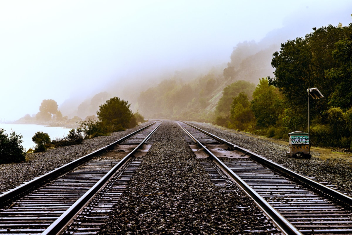 Pair of Tracks by Michael Carlson 