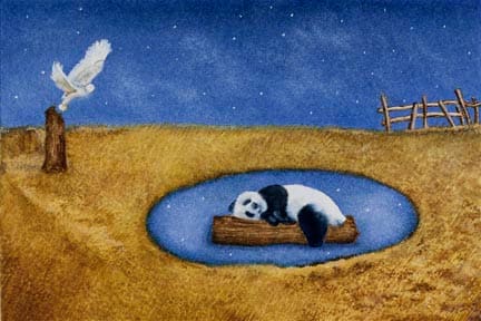 Lost Series: Panda by Carol Salisbury 