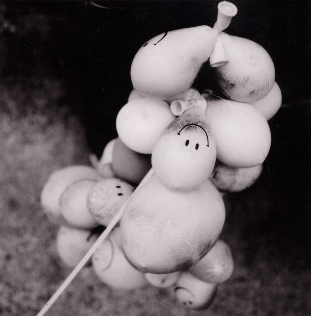 Happy Balloons by Patrick Carr 