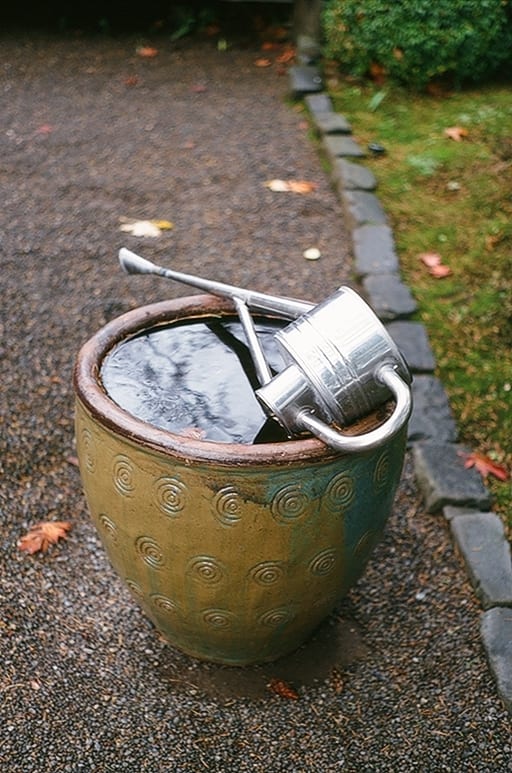 Planter with Watering Can by Denis Chamberlin 