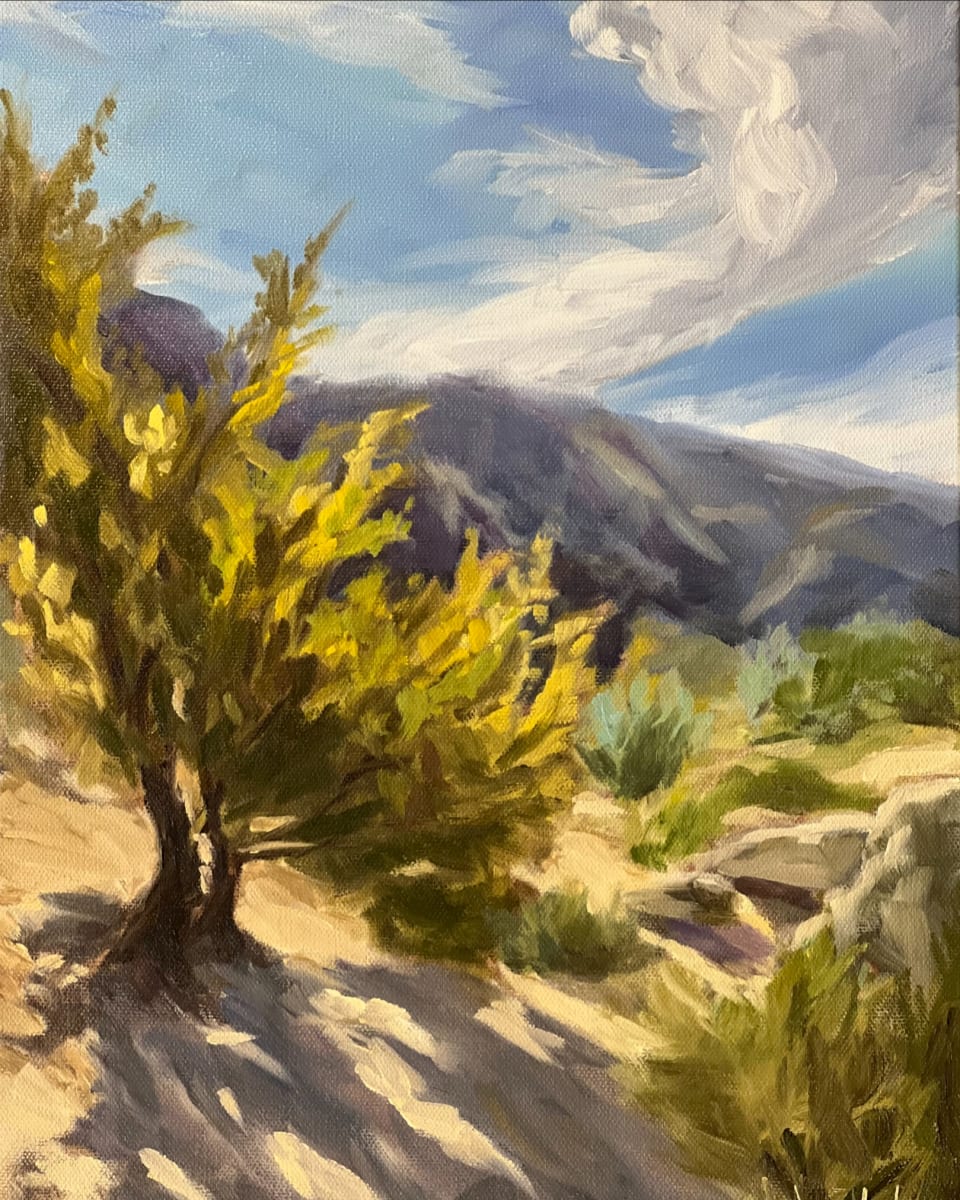 Desert Drama by Chelsea Edgecumbe 