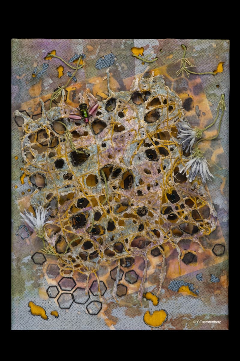 Honeycomb by Cindy Fuerstenberg 