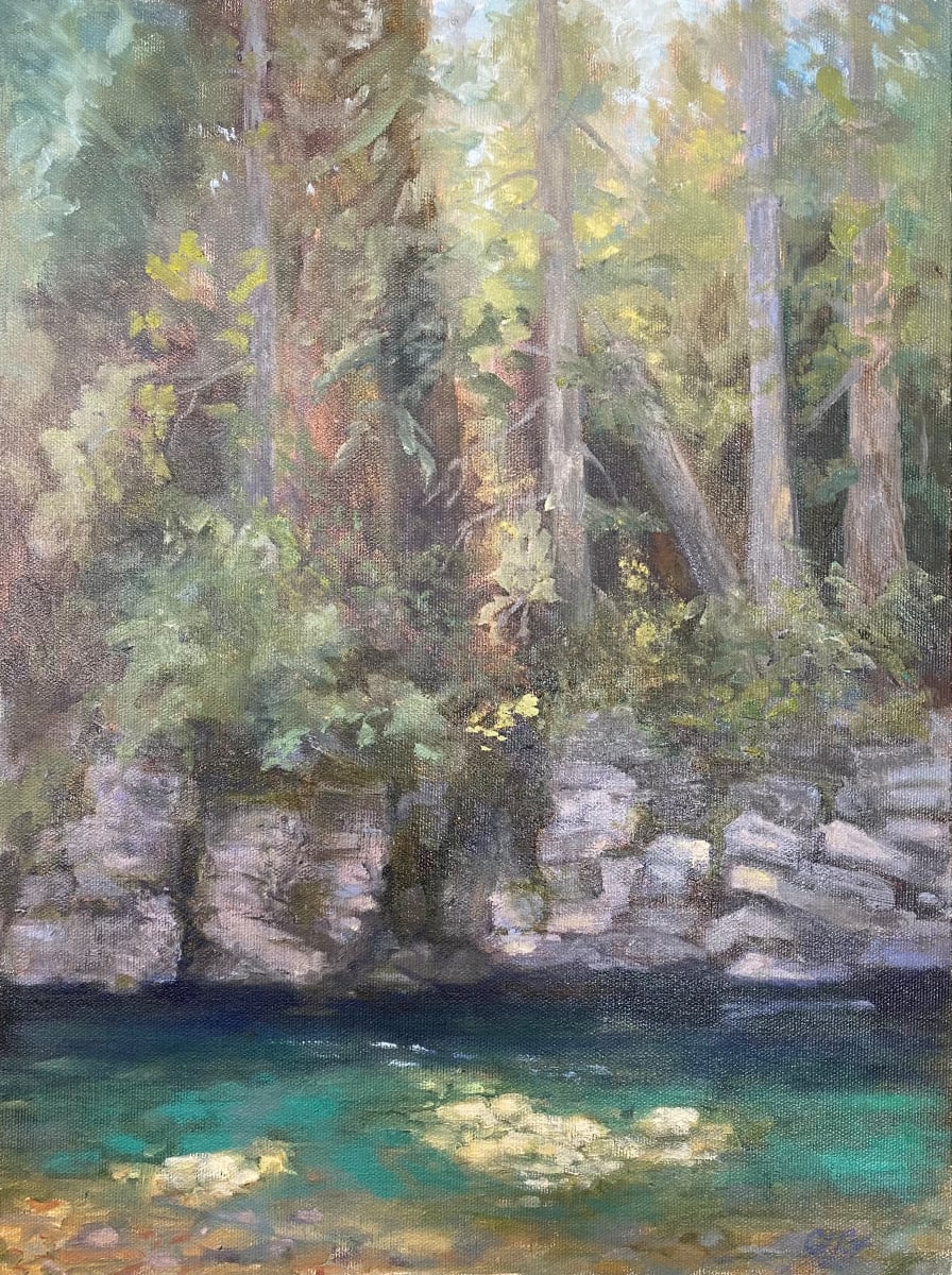 Summer Cathedral, St. Joe by Cindy Compert, Image 12.