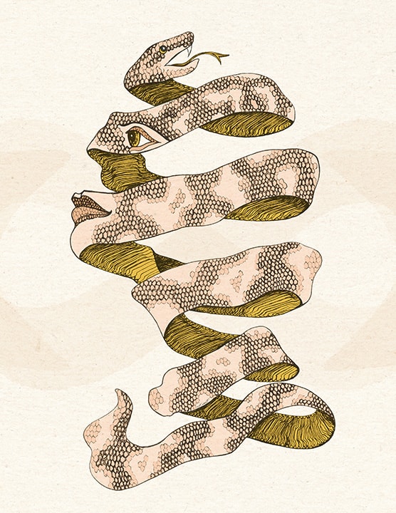 Awake by Kait Comunale, Image 7.