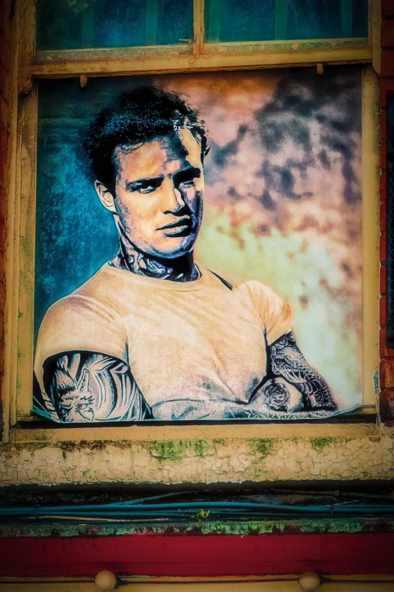 Brando in the Window by Kylo-Patrick Hart, Image 4.