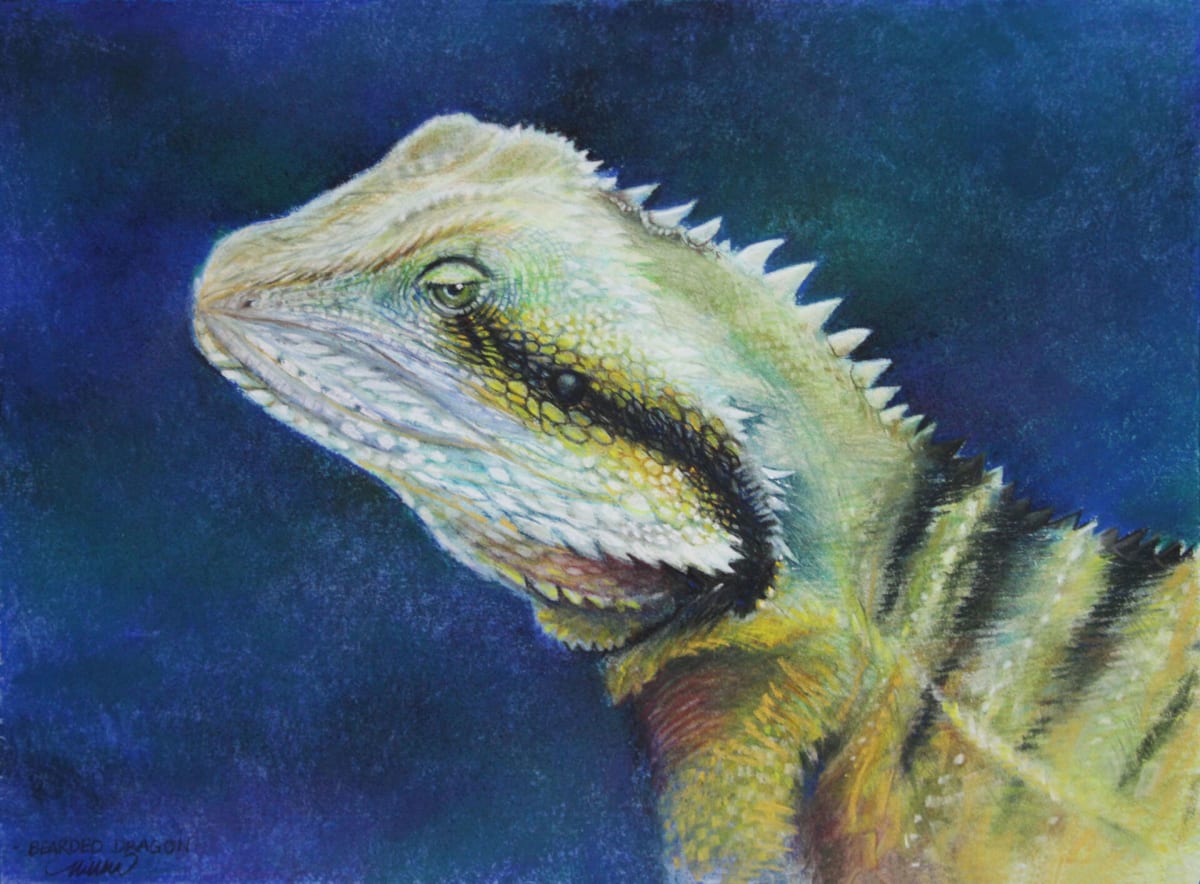 Bearded Dragon by Nikki Coulombe 