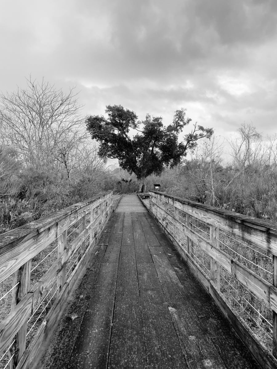 The Leaves Remain at the End by Justine Crowley 