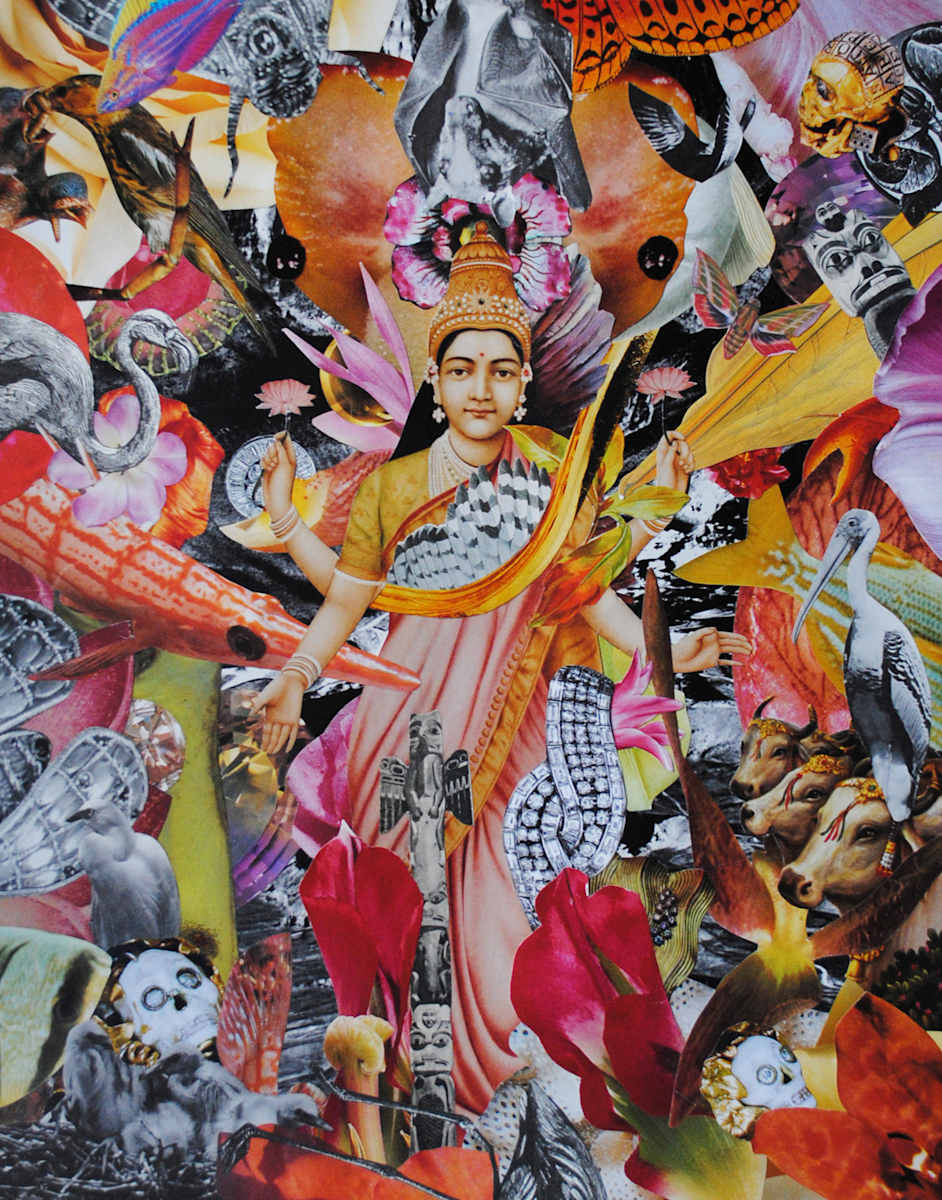 Lakshmi II by Colleen Cunningham 