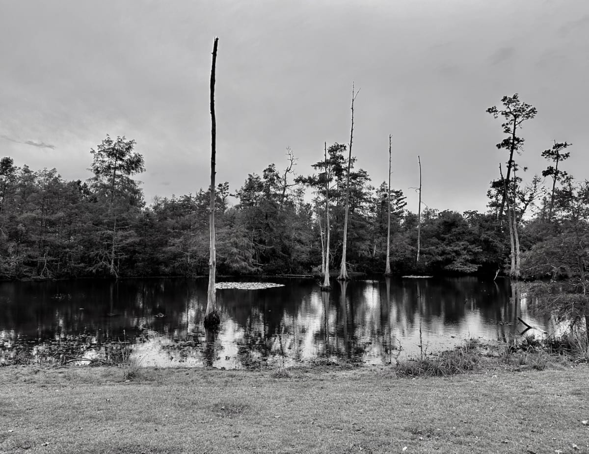 Storm Stripped by Charlotte Daigle, Image 8.