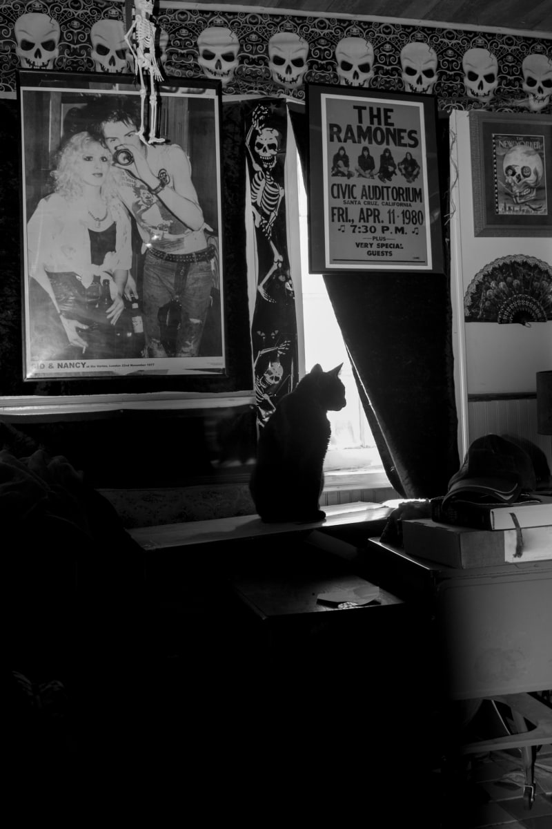 Watching by Sandra Dalton, Image 20.