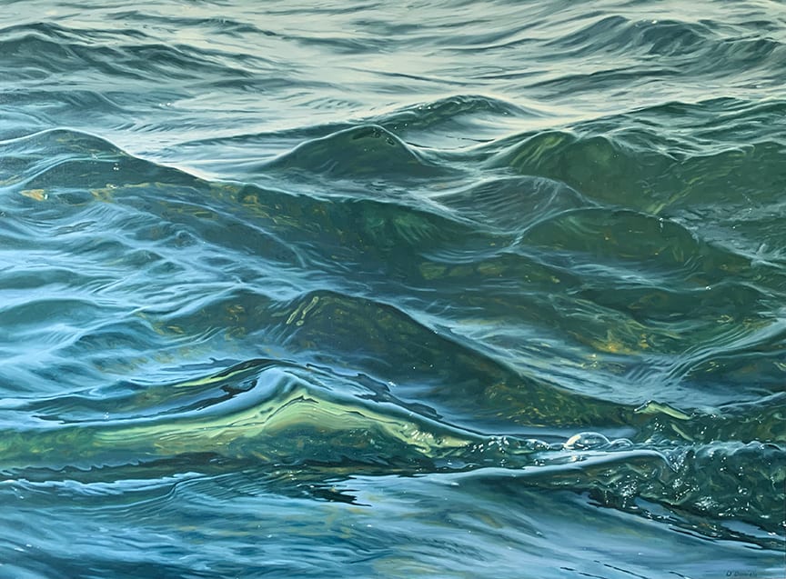 Shallow by Debbie Daniels, Image 9.