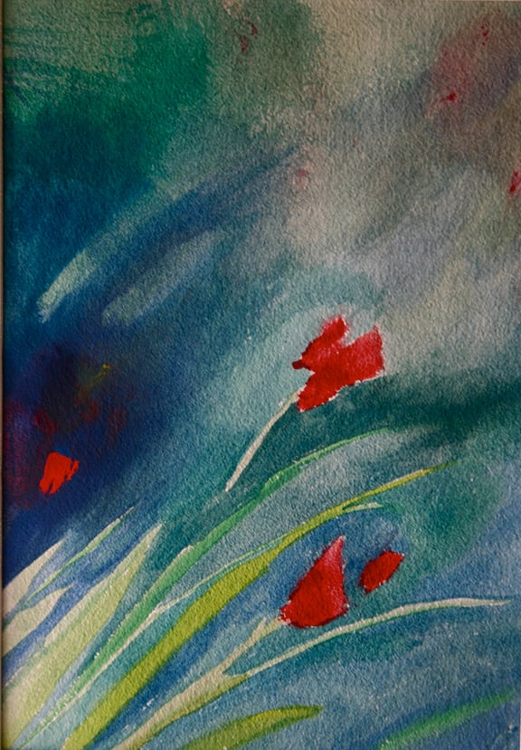 Poppies by Gabriela De Paz 