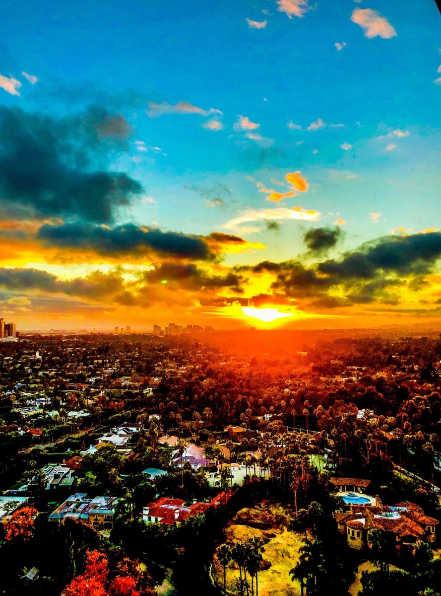 Vibrant LA by Lynne Deutch 