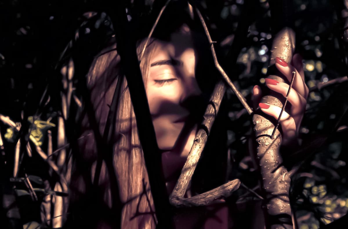 Where the Shadows Grow by Ricardo Diaz 