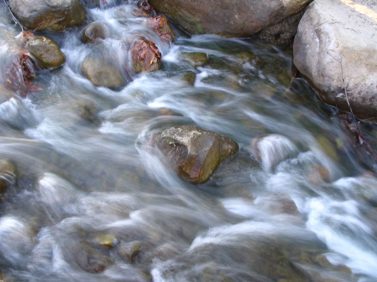 Hahn Park Stream by Valena Broussard Dismukes 