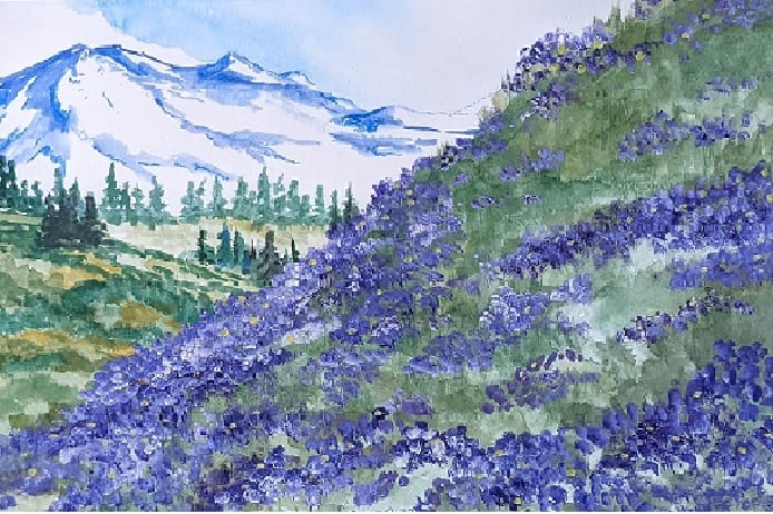 Aster Mountain by Julie Dreier 