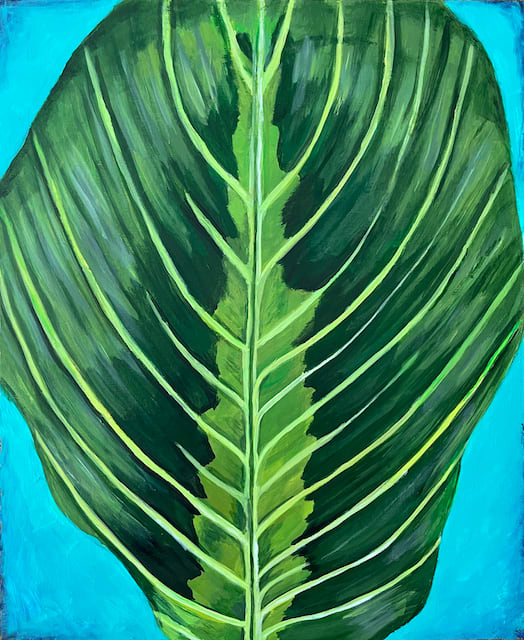 Maranta, Prayer Plant Leaf by Kelly Elizabeth 