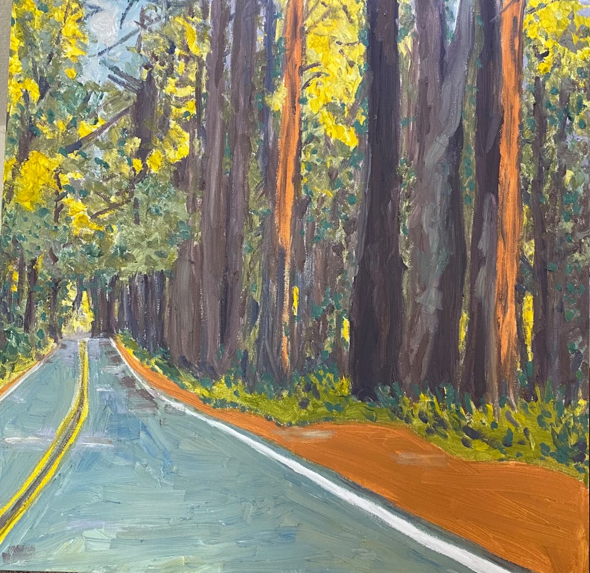 Winding Through Redwoods by Jenny Emerson 