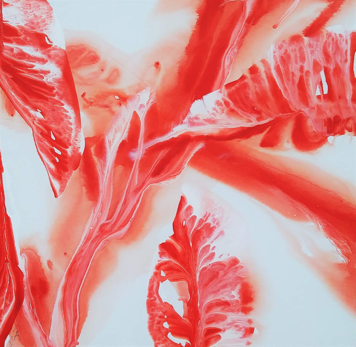 Hibiscus Blooming by Alane Enyart 
