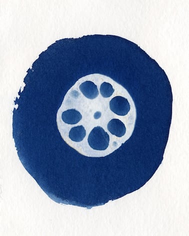 Lotus by Lauren Fiasconaro, Image 2.