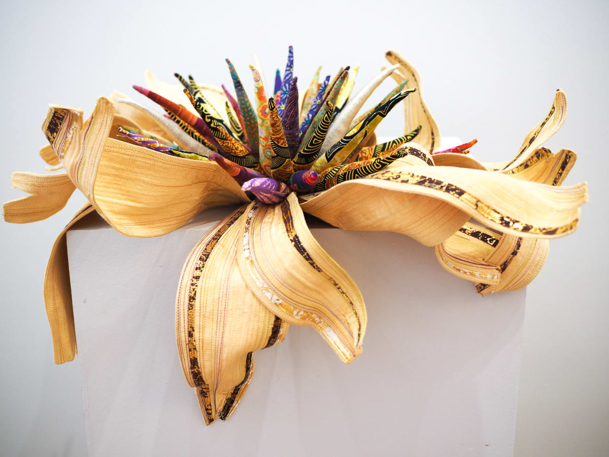 Echinacea Paradoxa VI_ Kismet Yellow by Andrea Finch, Image 11.