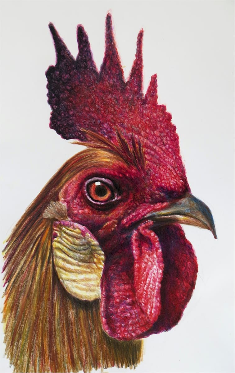 Rooster by Carol Foerster 