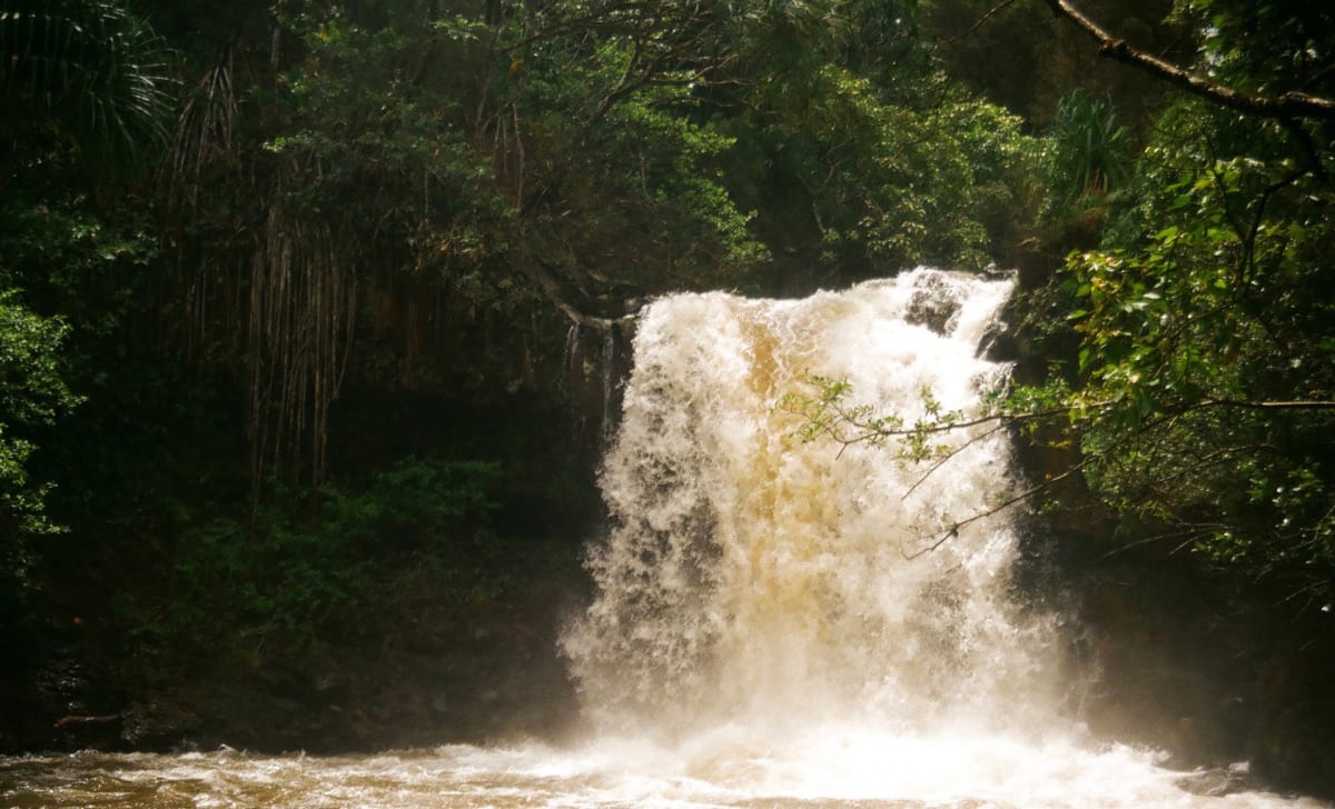 Waterfall by Christopher B. Fowler 