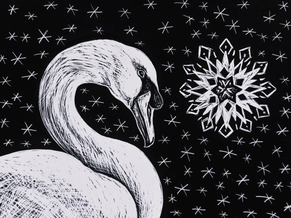 Winter Swan by Karen Gaudette, Image 10.
