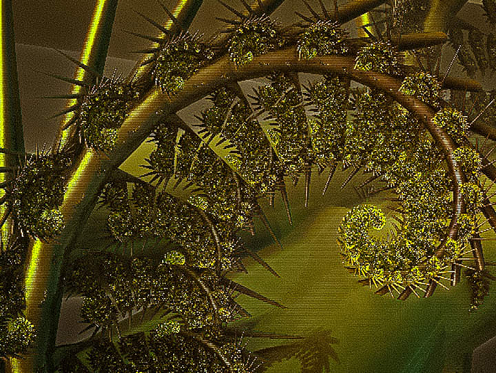 Wild Bamboo by Diane Gavin 