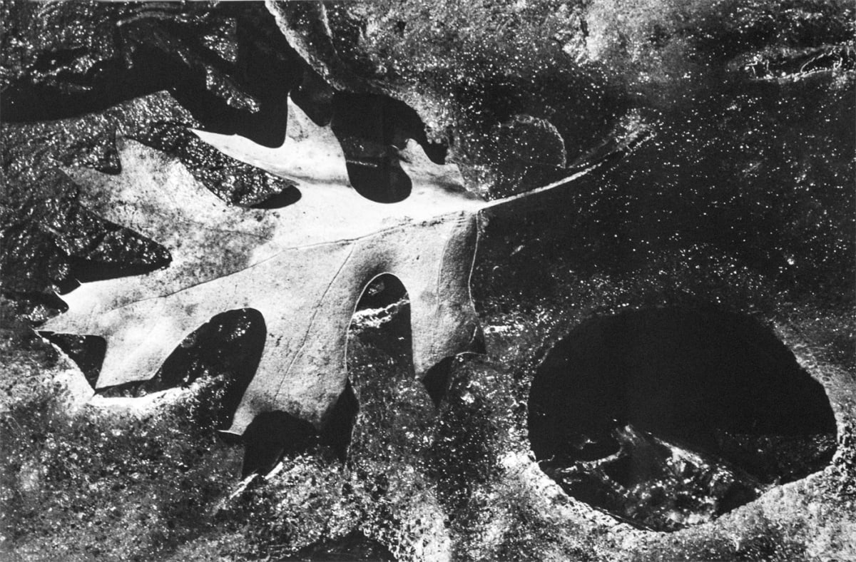 Star and Black Hole by Malcolm Glass, Image 8.