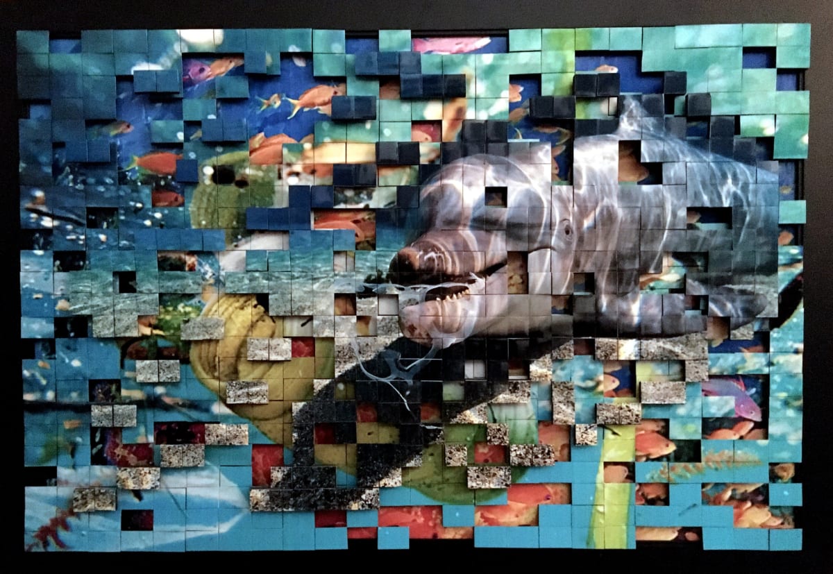 Plastic Bottlenose by David Goetz, Image 15.