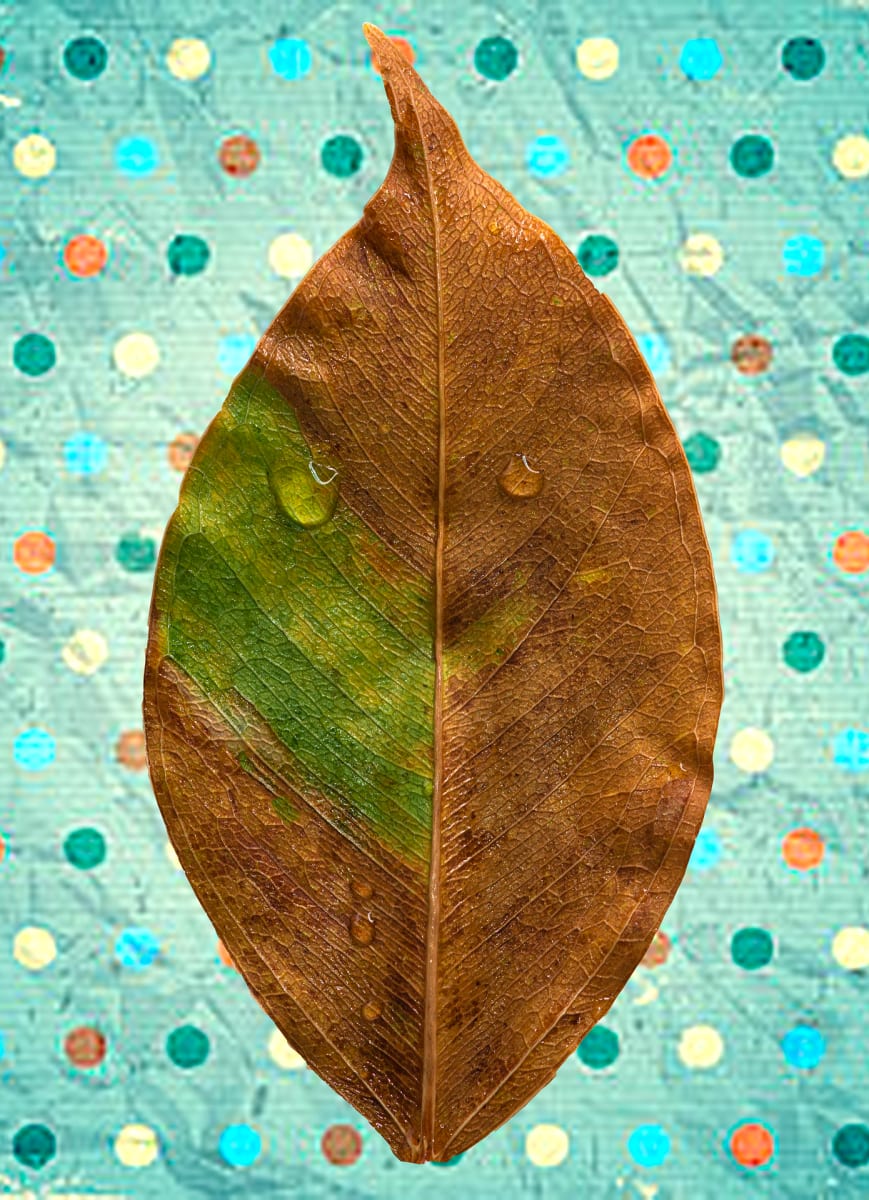 Orange Green Leaf with Blue and Colorful Dots by George Gonzalez 